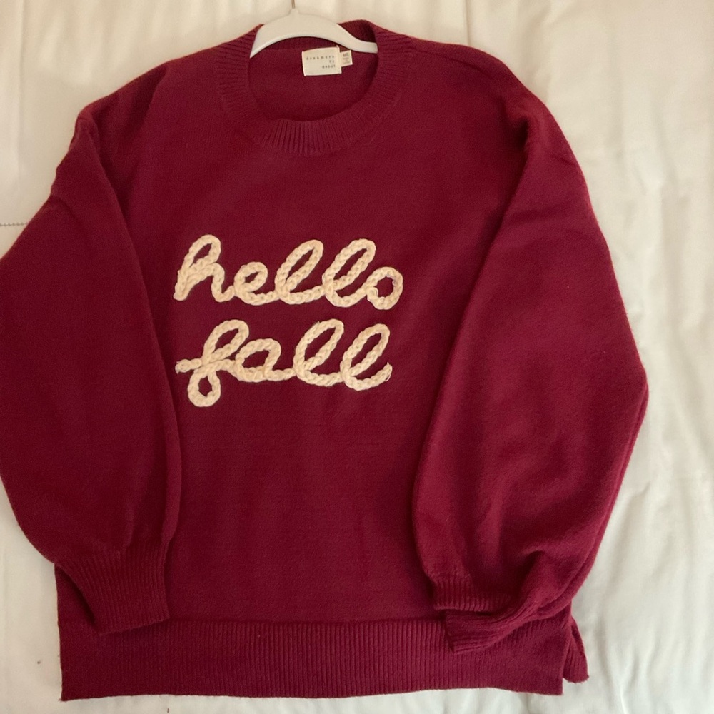 Berry Hello Fall Sweater M/L - Picture 4 of 4